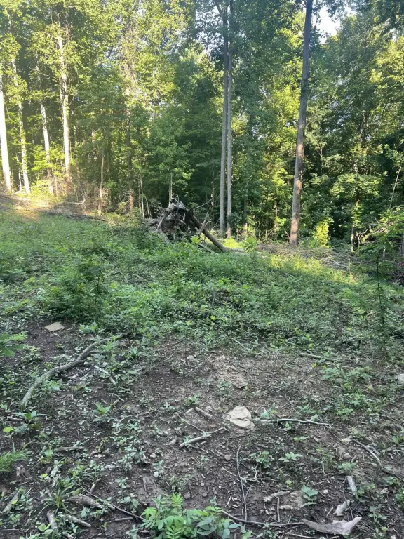 Picture 17