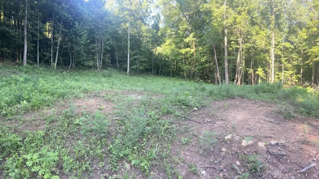 Picture 19