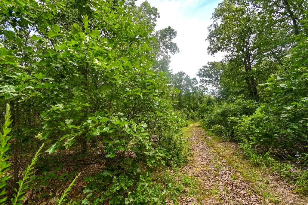 Picture 41