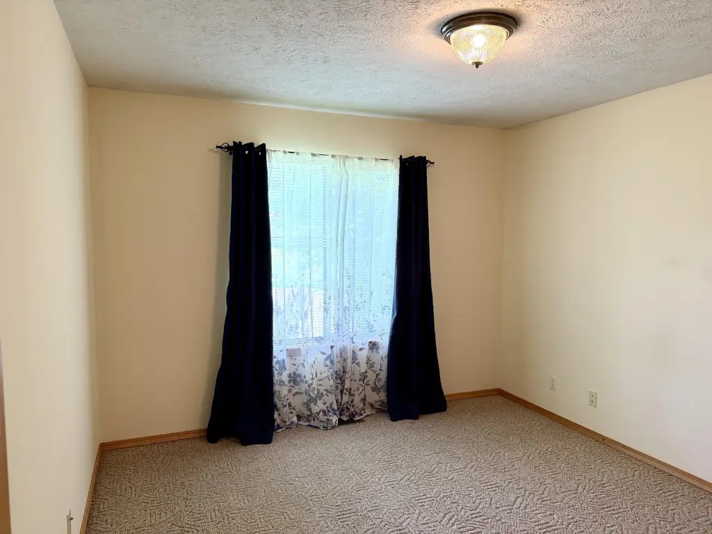 Picture 41
