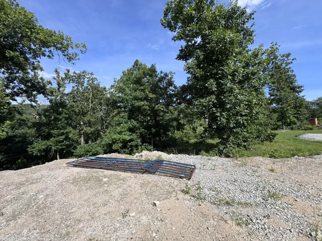 Picture 30