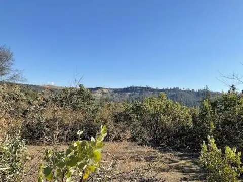 Residential Lot Near Downtown Murphys