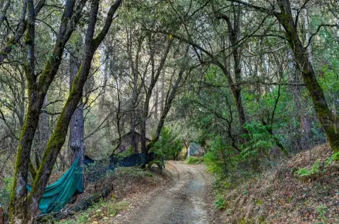 30 Acres of Mining Land