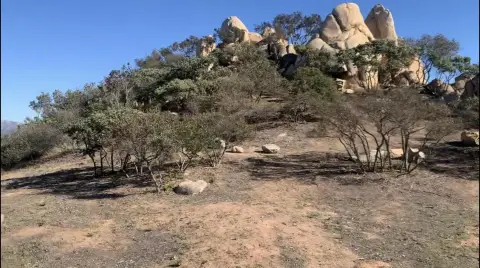 Agricultural Land with Panoramic Views