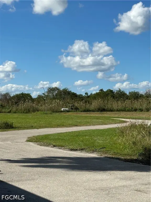 Picture 12