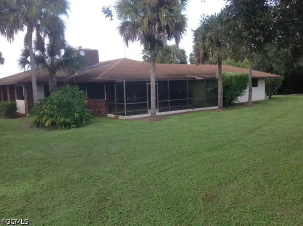Picture 11
