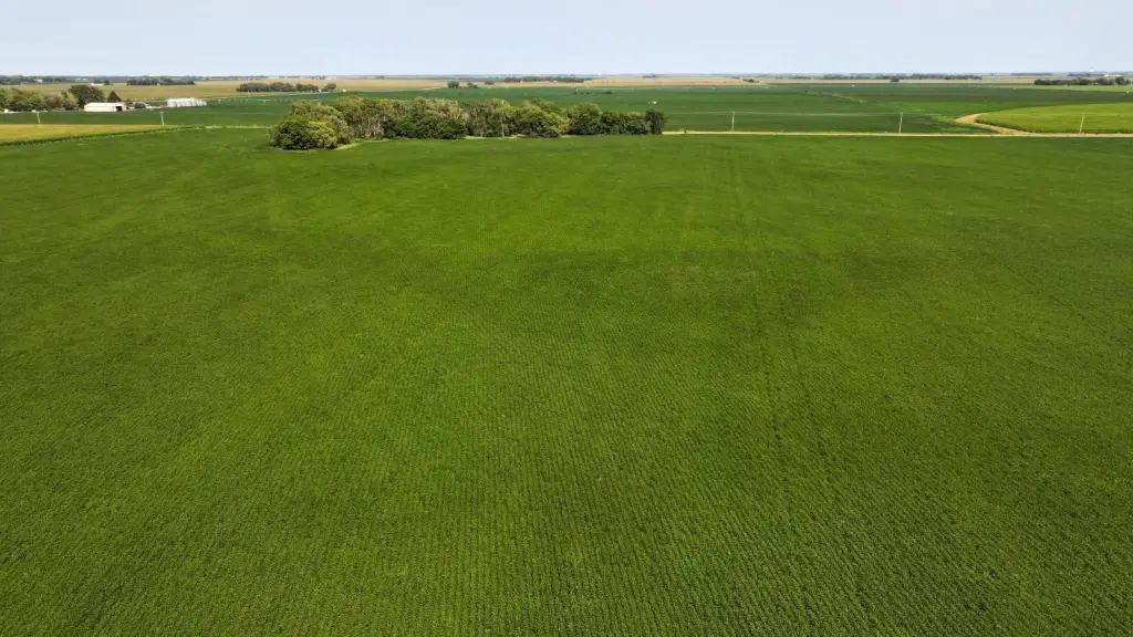 Picture 21