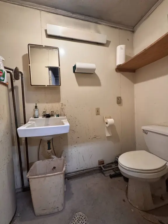 Picture 6