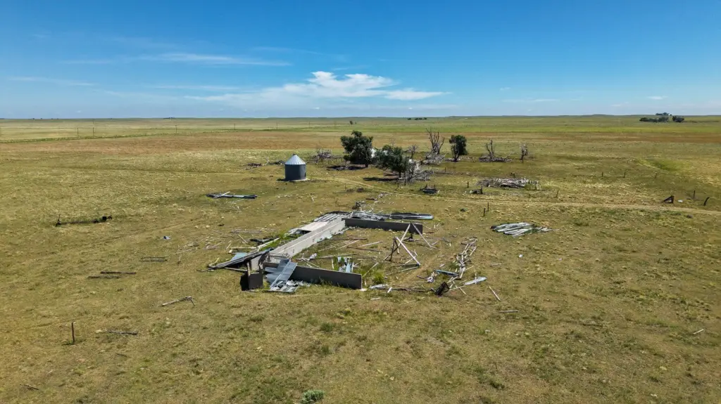 Picture 8