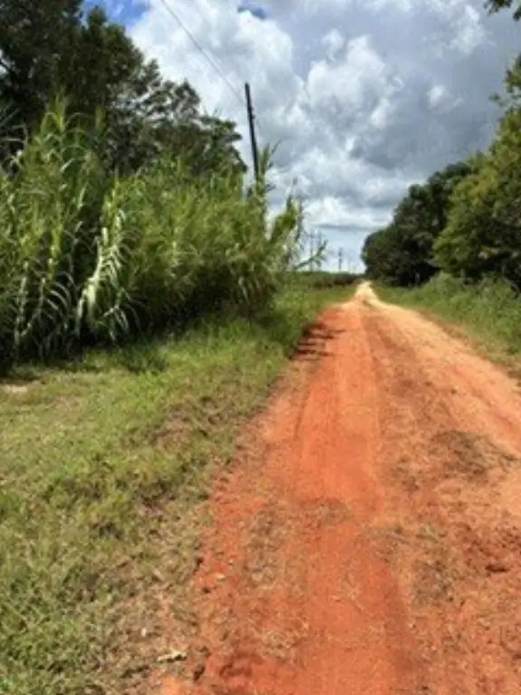 Picture 4