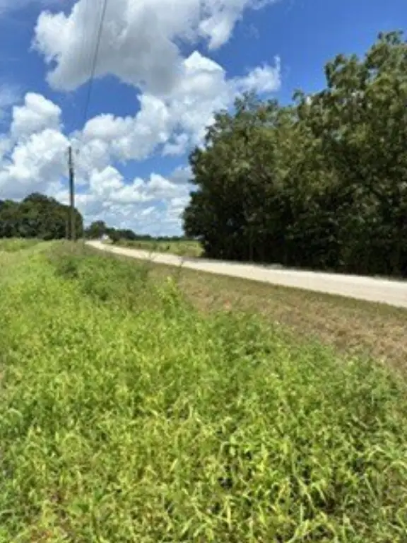 Picture 5