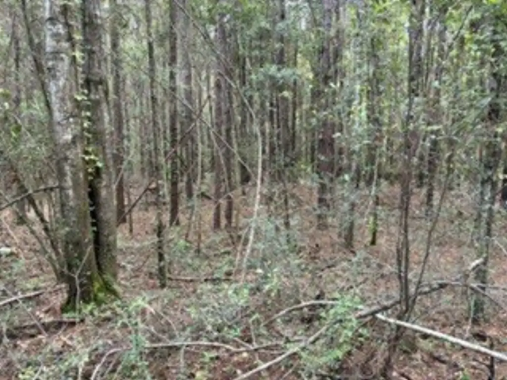 Picture 7