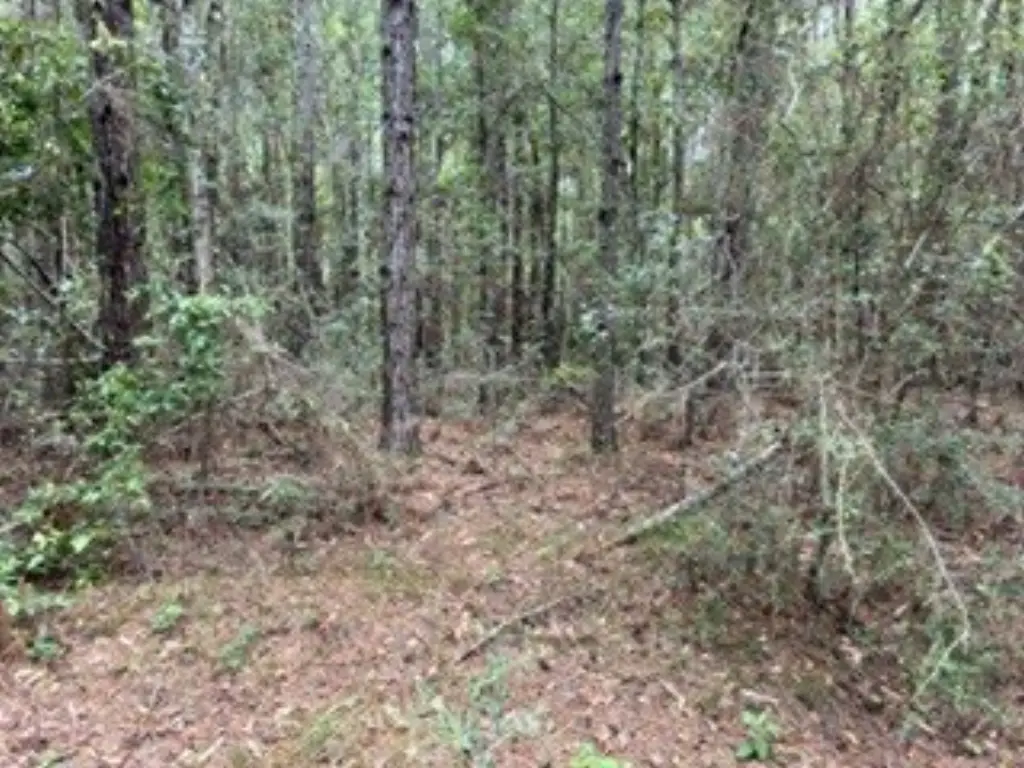 Picture 6