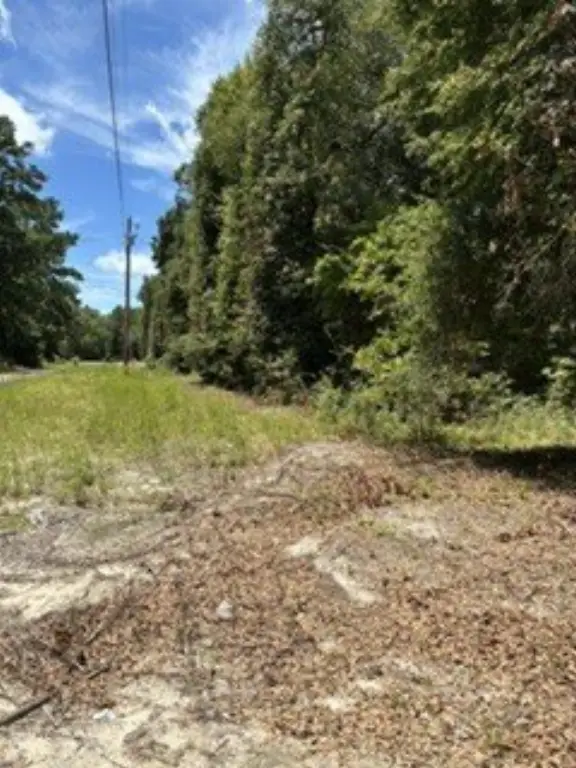 Picture 4