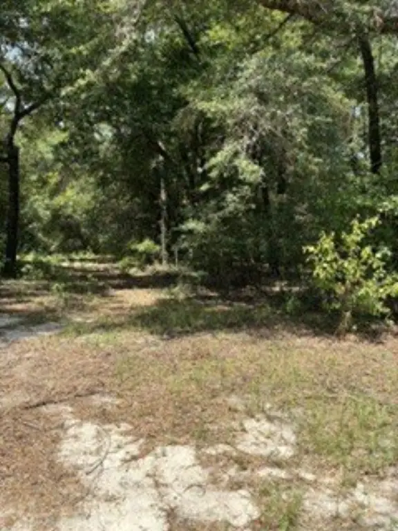 Picture 3