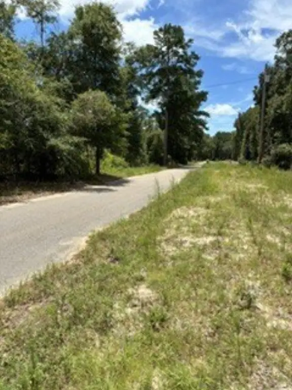 Picture 5