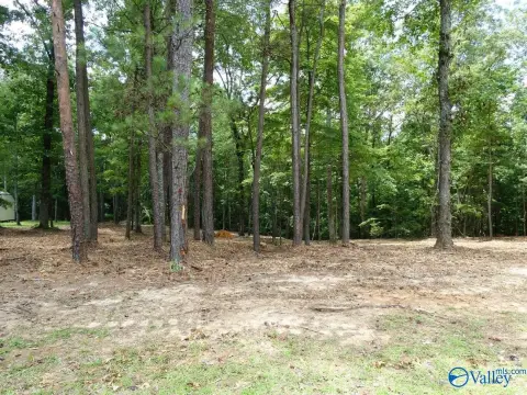 Wooded Lot Near Lewis Smith