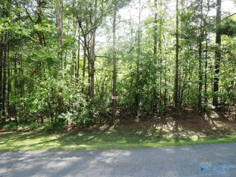 Wooded Lot Near Lewis Smith Lake