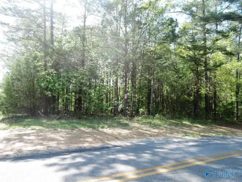 Level Wooded Lot in Jasper