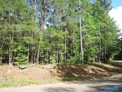 Wooded Lot Near Lewis Smith