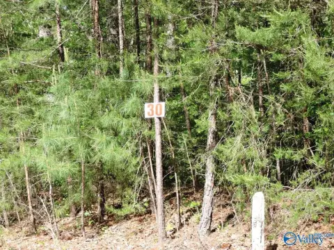 Off-Water Lot Near Jasper, AL