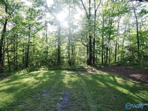 Residential Lot Near Lewis Smith