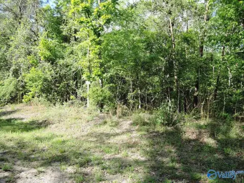 Wooded Lot Near Lewis Smith