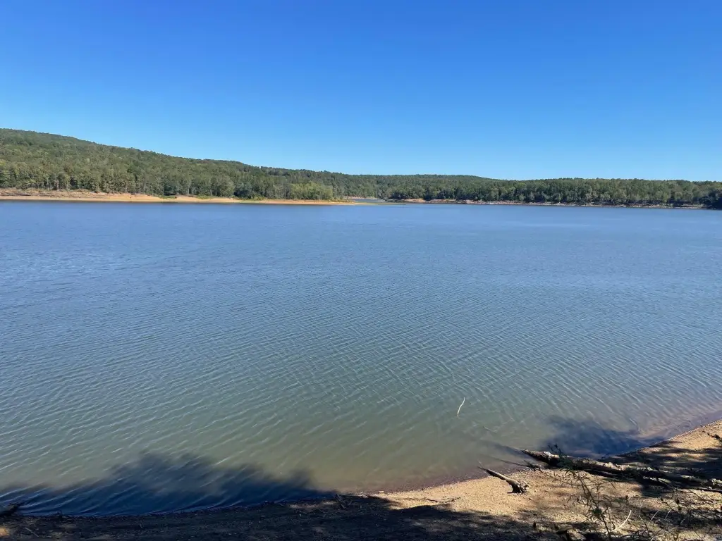 Picture 2