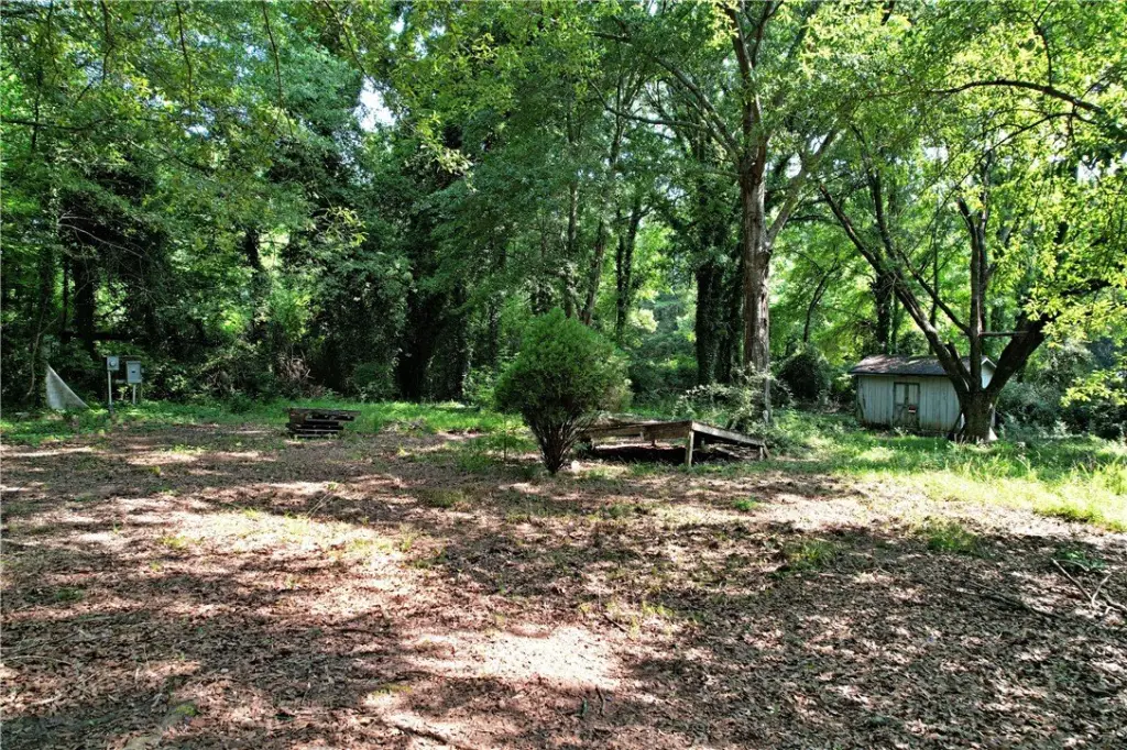 Picture 11
