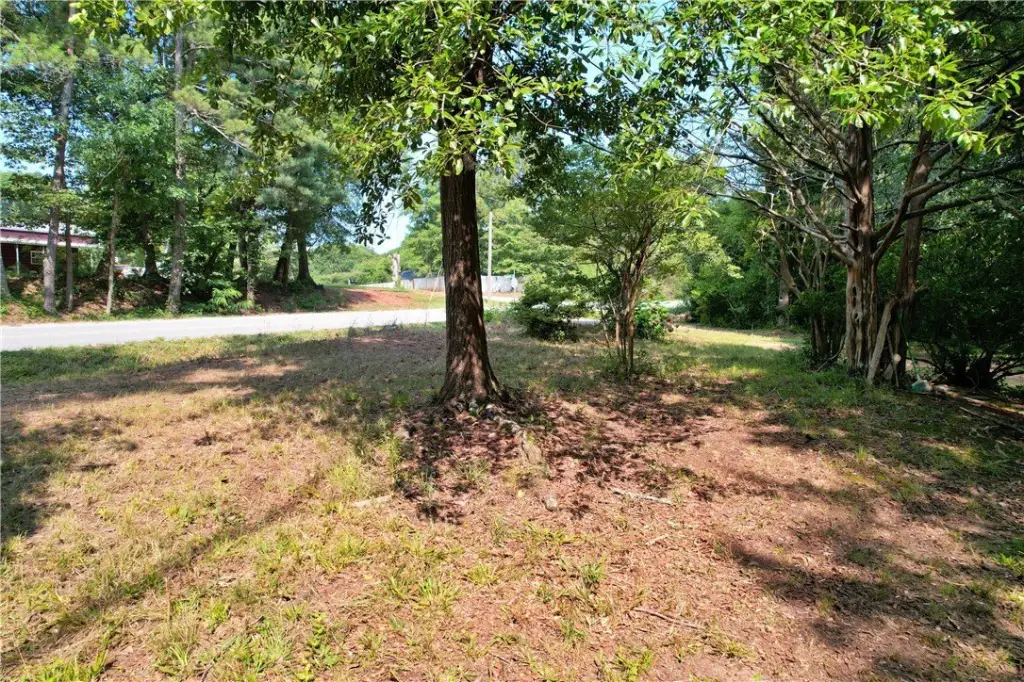 Picture 18