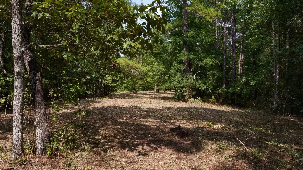 Picture 11