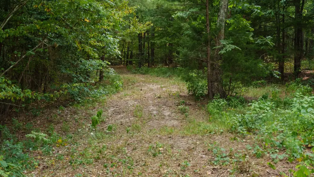 Picture 30