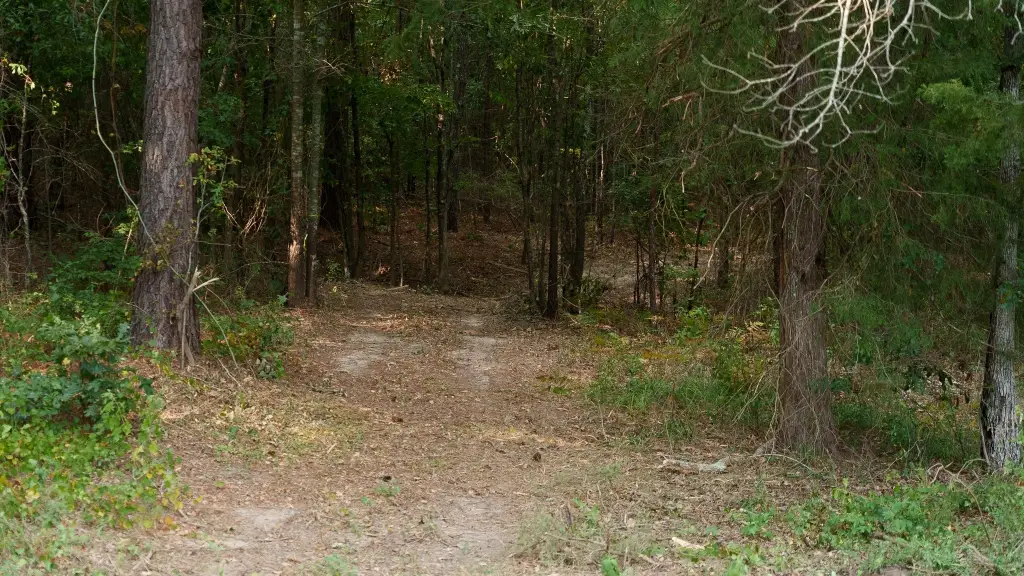 Picture 29