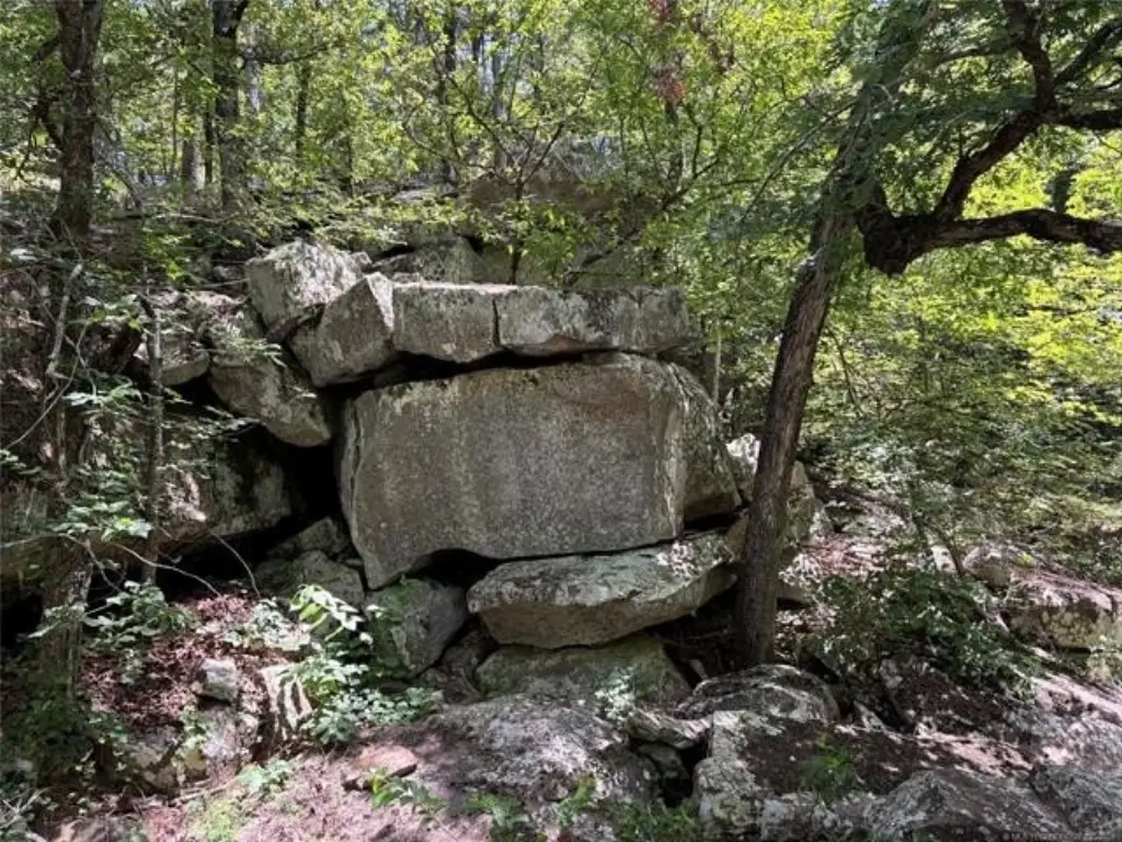 Picture 27