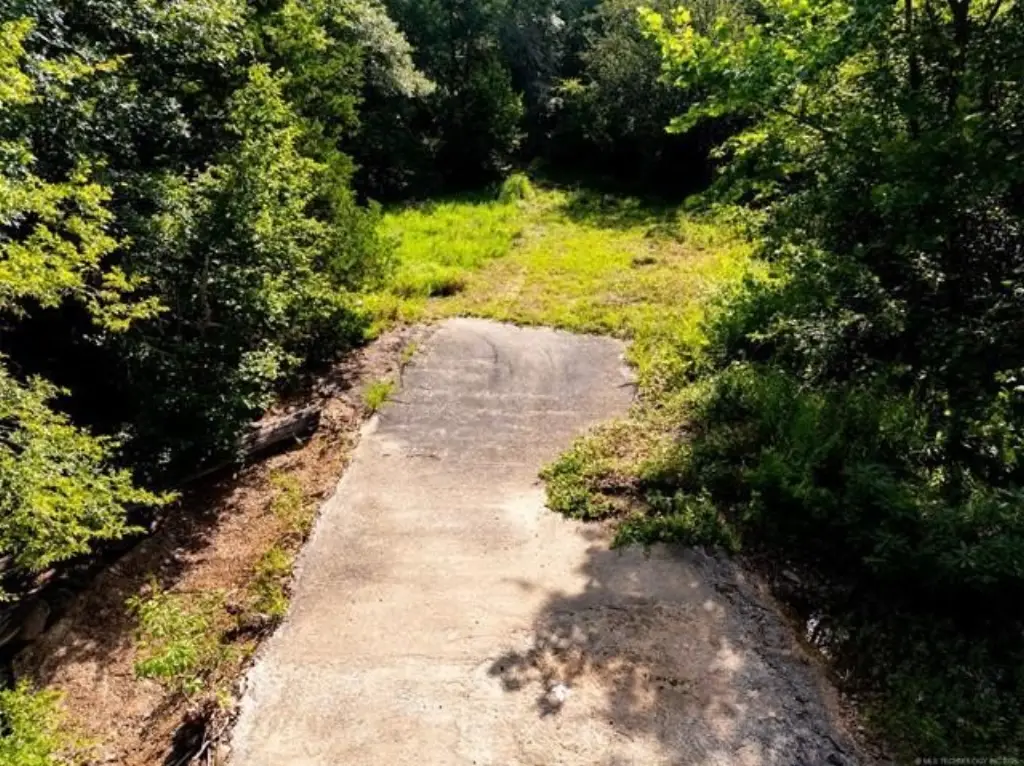 Picture 3