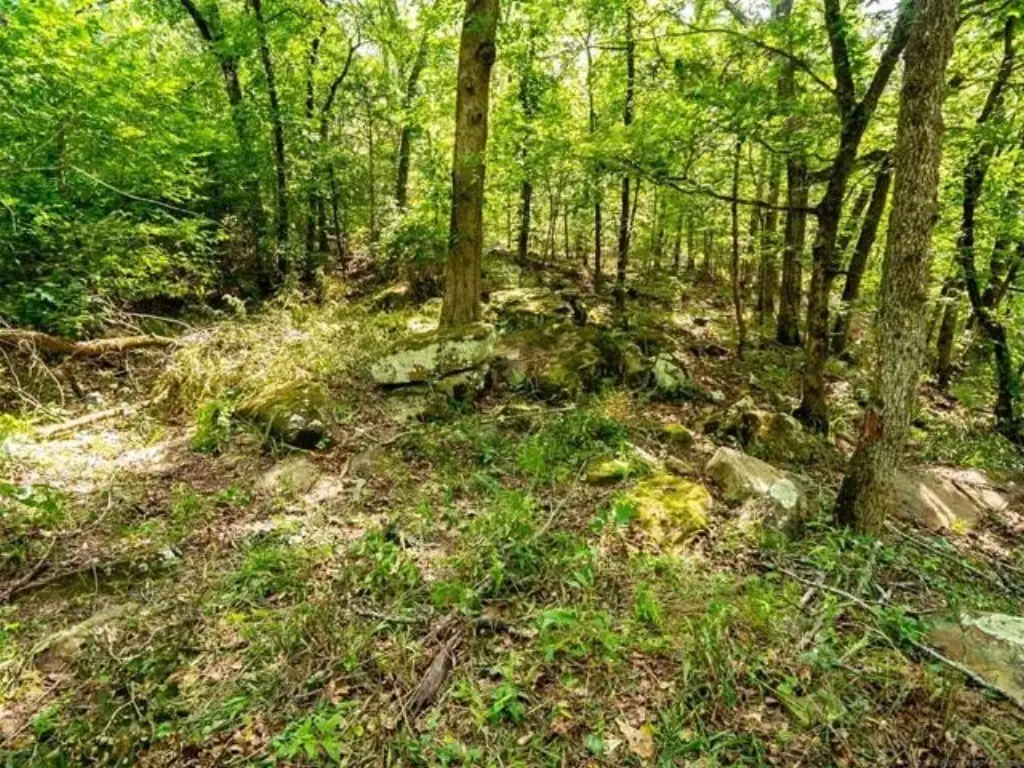 Picture 17