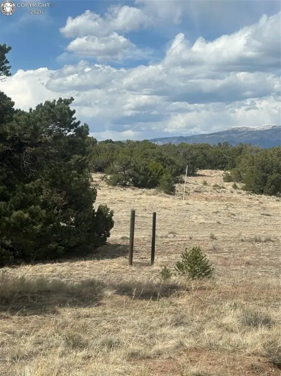 Picture 12