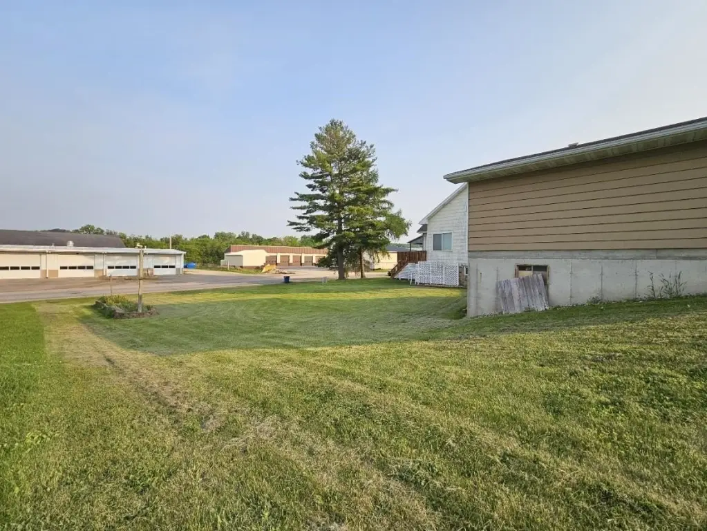 Picture 19