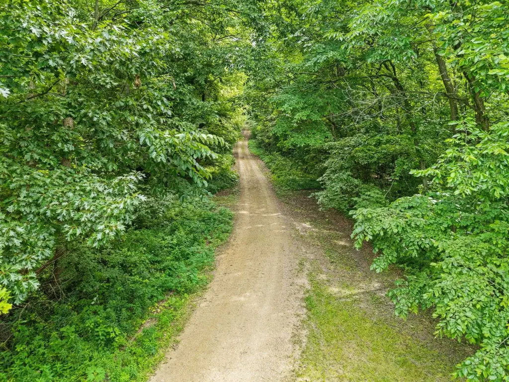 Picture 3