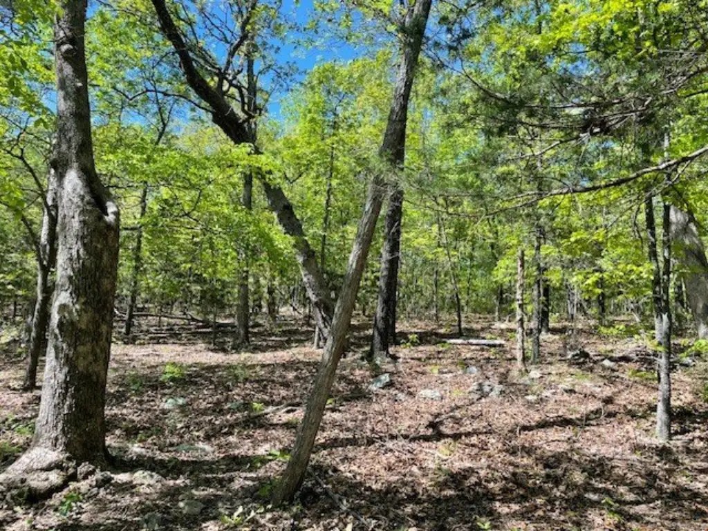 Picture 6