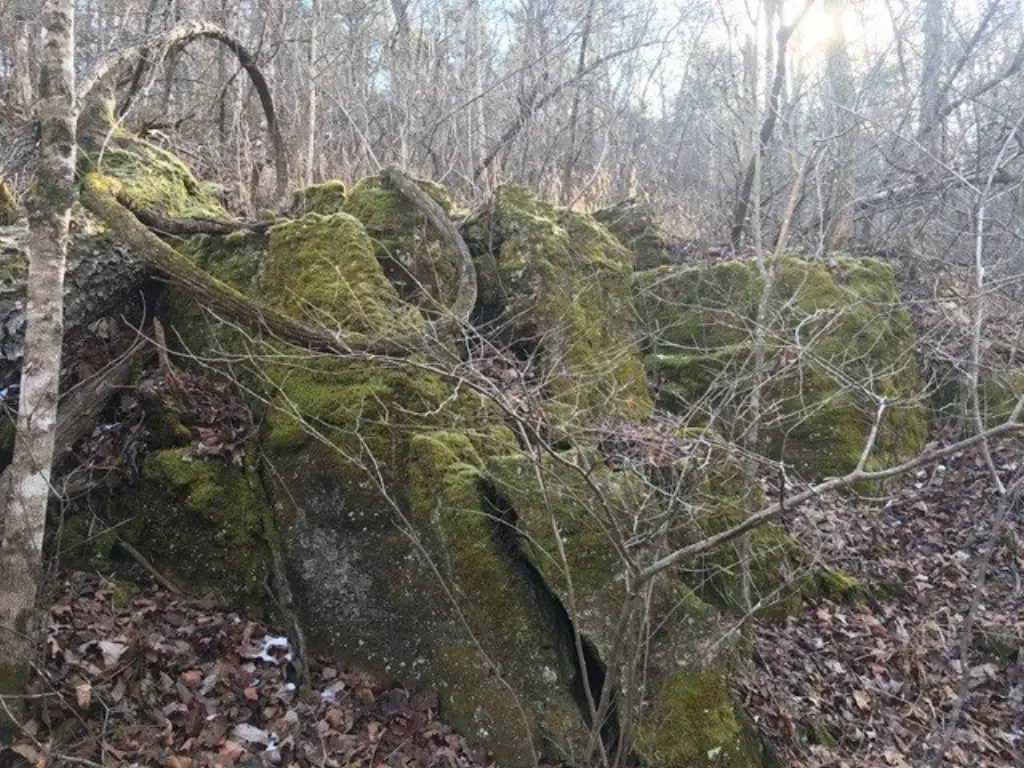 Picture 5