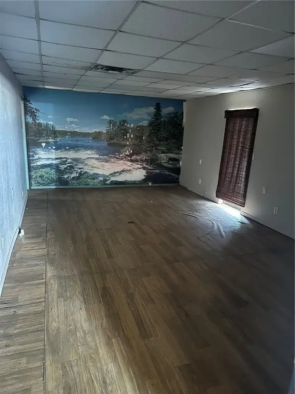 Picture 5