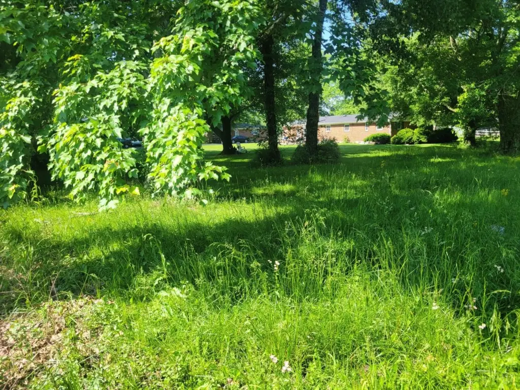 Picture 4