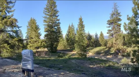 Exceptional Mountain Estate Land Opportunity