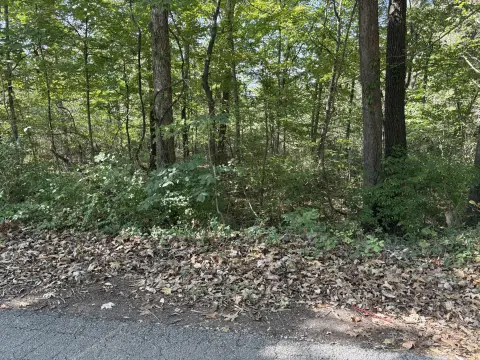 Affordable Wooded Lot Near Lake
