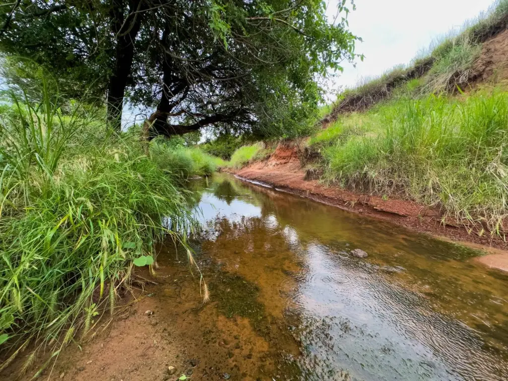 Picture 43