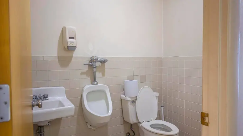 Picture 5