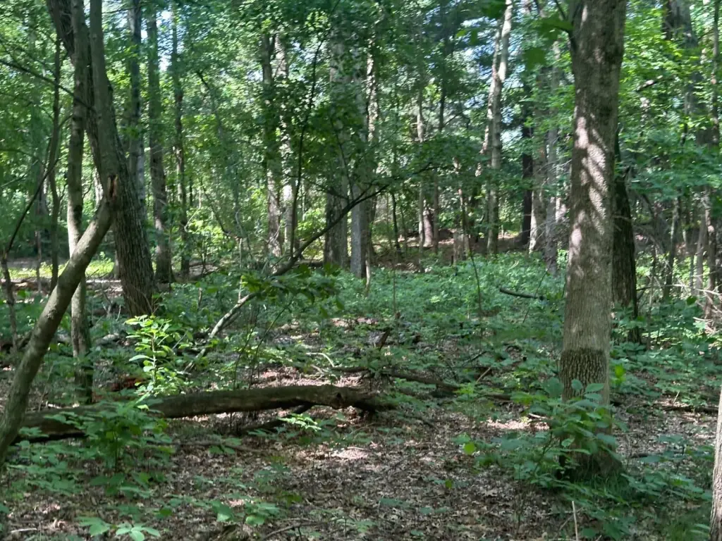 Picture 23
