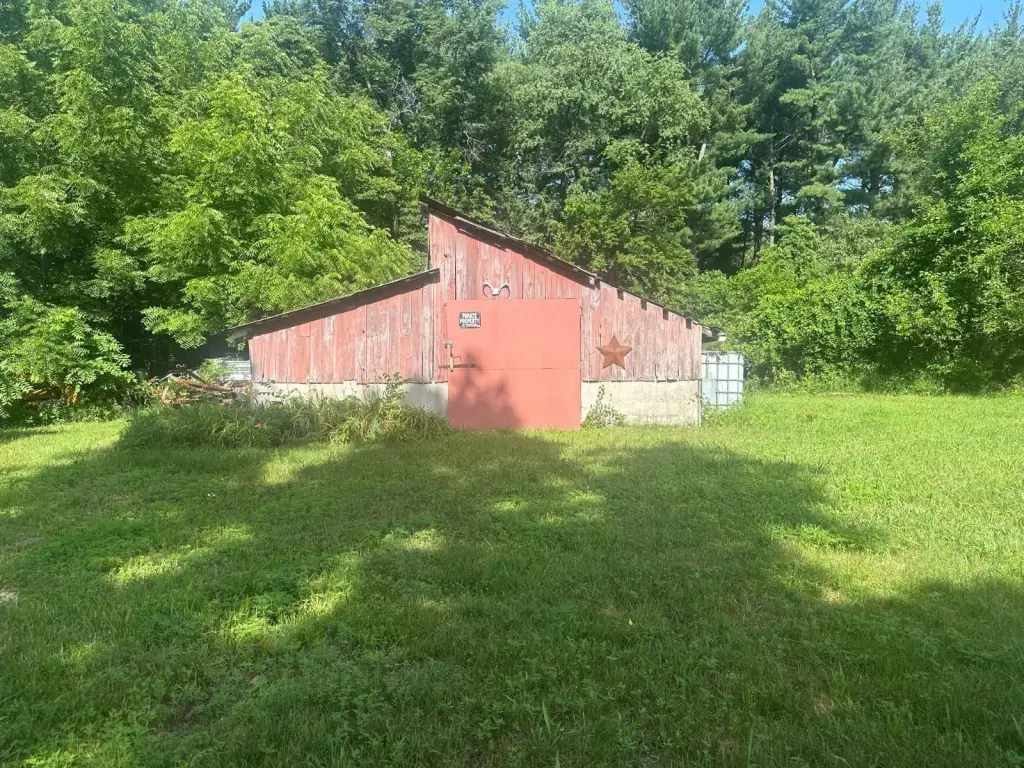 Picture 2