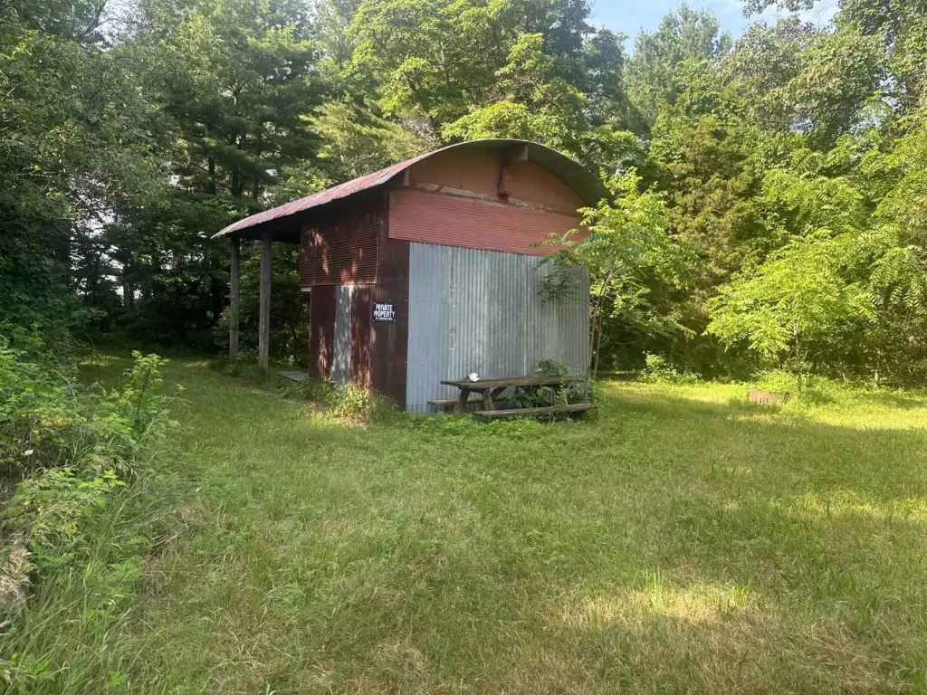 Picture 3